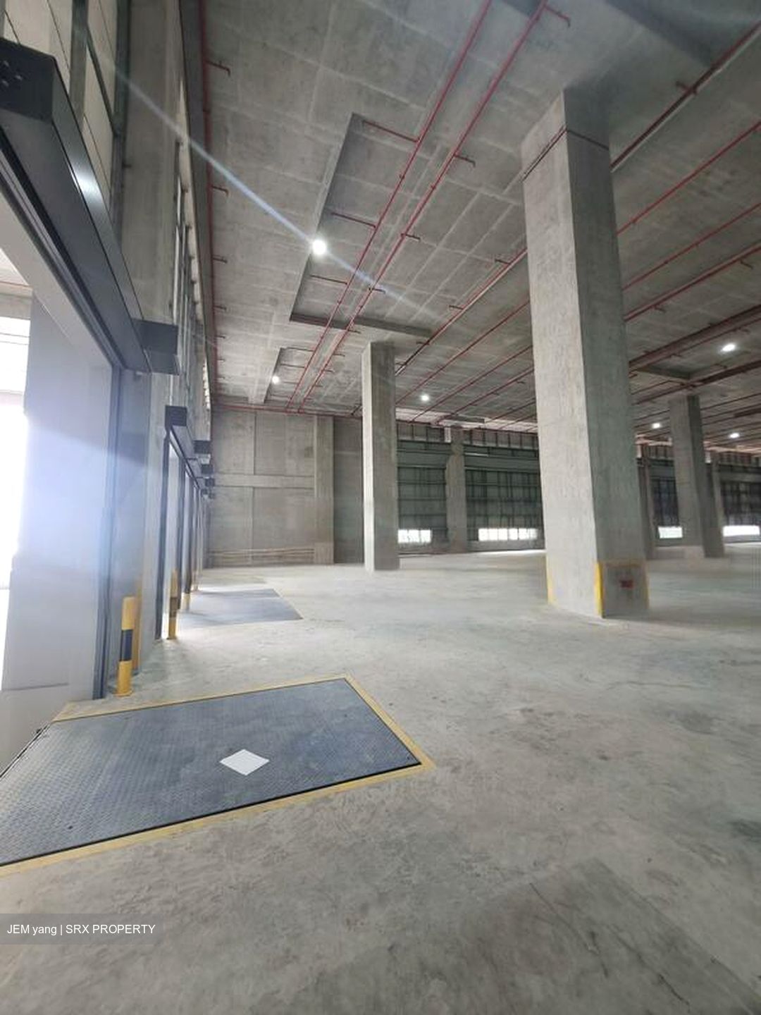 Pandan Light Industries Park (D5), Warehouse #462632141